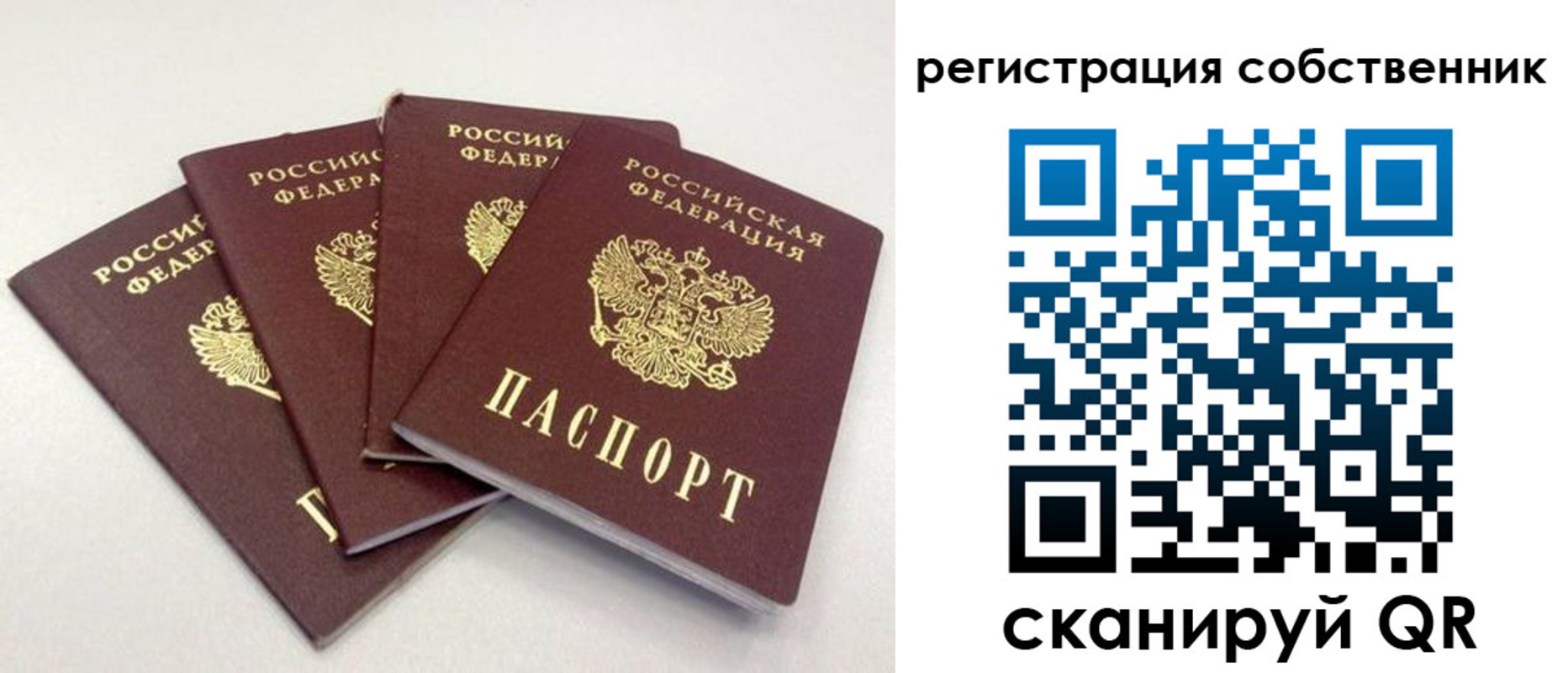 прописка для школы в Калачинске